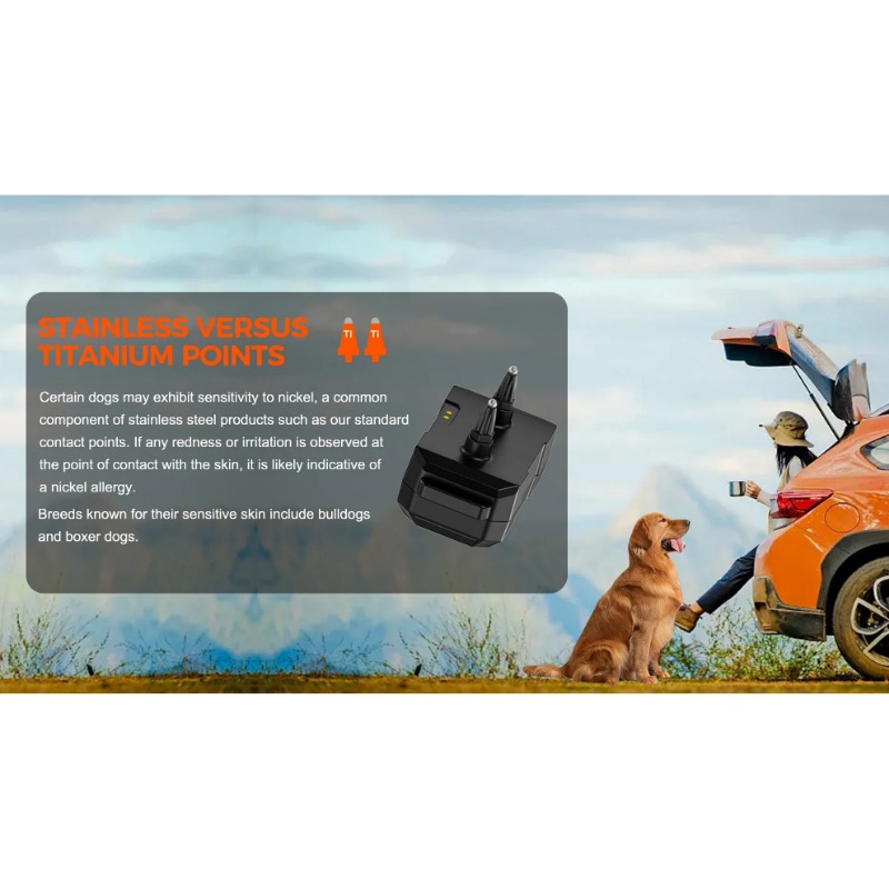 Valla eléctrica para perros co - Outdoor Furniture Plus reseña y precio